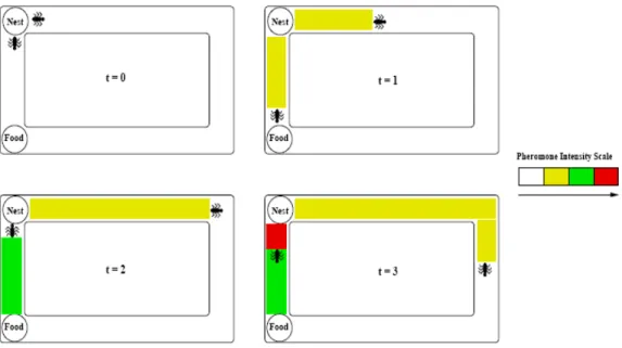 Figure 2.2: The shortest path mechanism used by ants. The different colours indicate increasing  levels of pheromone intensity