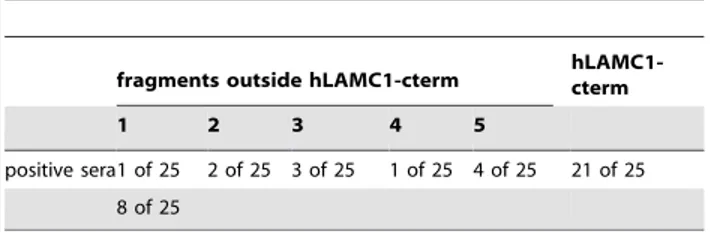 Figure 3. Human IgG specific to laminin c1 is not pathogenic ex vivo. Using recombinant forms of the C-terminus of laminin c1 (hLAMC1- (hLAMC1-cterm) and full length laminin c1 (LAMC1-FL) IgG specific for hLAMC1-cterm (a, c; lane 3) and LAMC1-FL (b, lane 3
