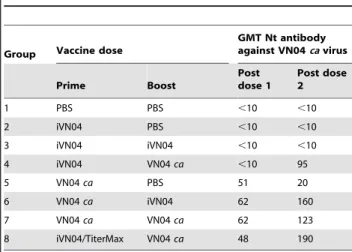 Table 1. Ferret serum antibody titers from vaccination with iVN04 and VN04 ca.