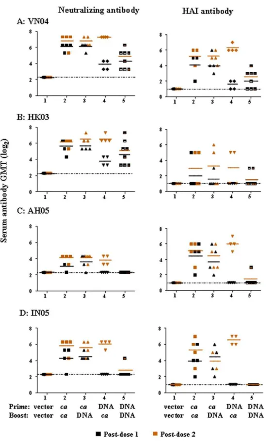 Figure 3. Serum antibody titers against homologous and variant H5N1 ca viruses following different vaccine regimens in ferrets.