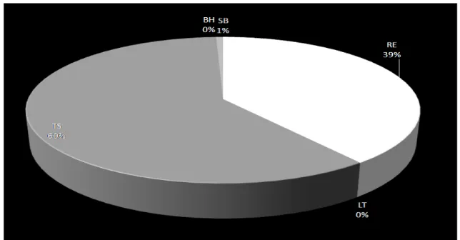 Table 5.2 shows that the investor should invest 39.36%, 60% and 0.64% of the total money in the  1 st , 4 th  and 5 th  stocks