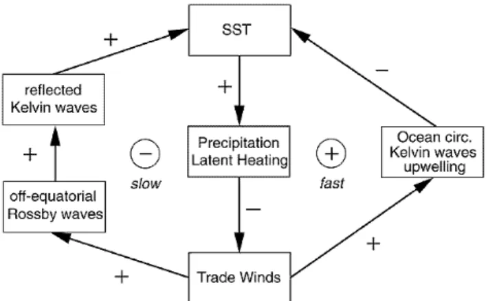 Fig. 1. Simplified principal feedback loops active in El Ni˜no- Ni˜no-Southern Oscillation (ENSO)