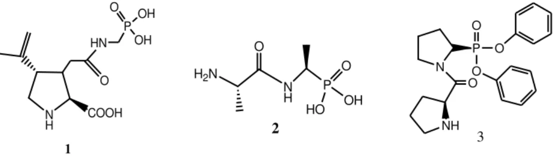 Figure 1. Some compounds containing phosphoryl-carboxamide having a biological activity