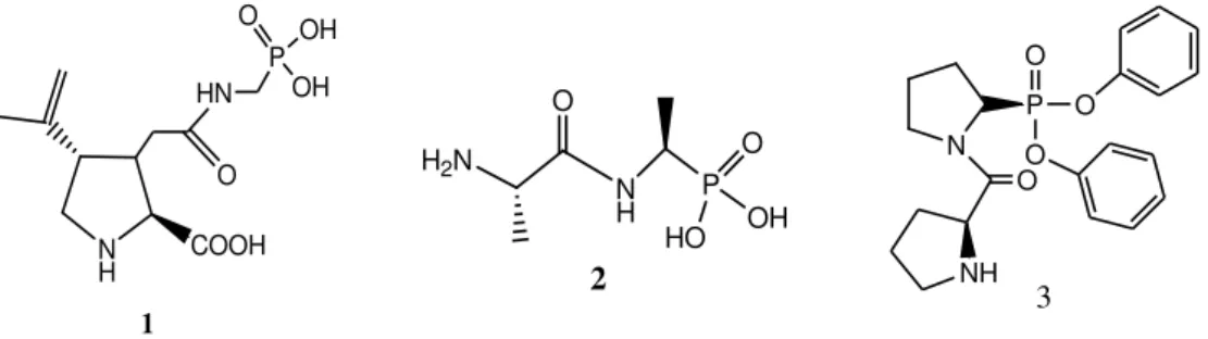 Figure 1. Some compounds containing phosphoryl-carboxamide having a biological activity
