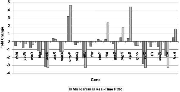 Figure 1. Comparison in expression ratios of 22 randomly selected genes between microarray and real time-PCR