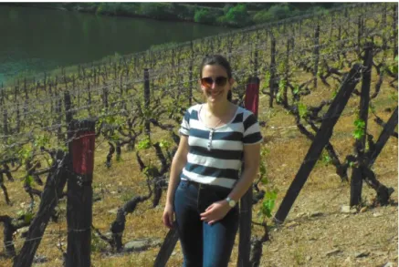 Figure 5. Douro-A vineyard. Sampling sites are marked in red. Photo taken on  24/04/18.