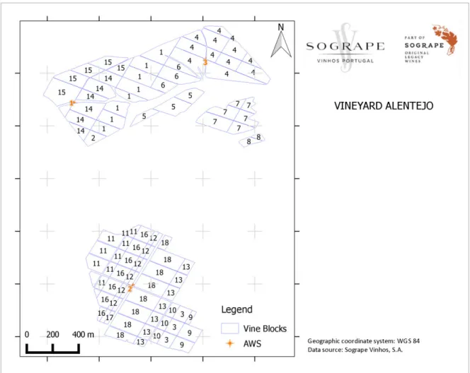 Figure 6. Identification of vine blocks in a vineyard of Alentejo, as well as AWS (1, 2 and 3)