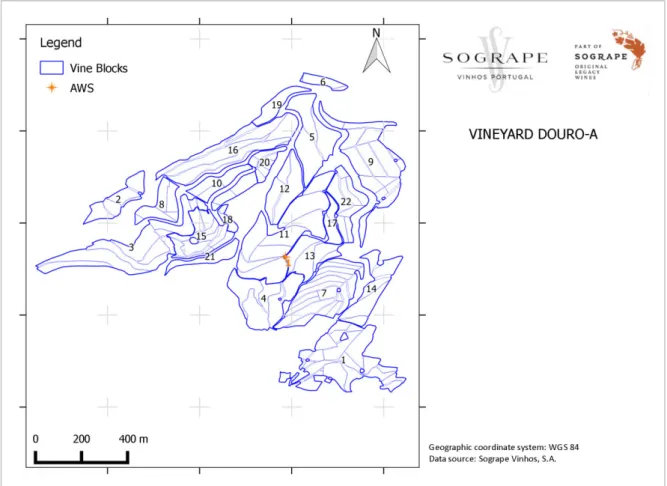 Figure 7. Identification of vine blocks in vineyard Douro-A, as well as AWS (1). Obtained in QGIS