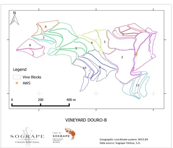 Figure 9. Identification of vine blocks in vineyard Douro-C, as well as AWS (1, 2 and 3)
