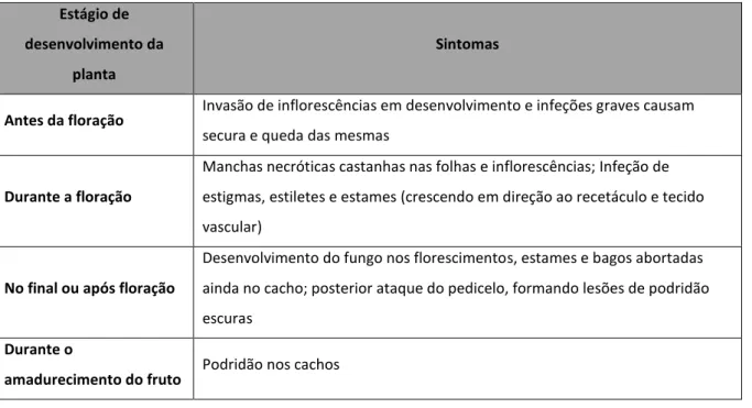 Tabela 1 - Sintomas de infeção por Botrytis cinerea associados aos estágios de desenvolvimento da planta [38]