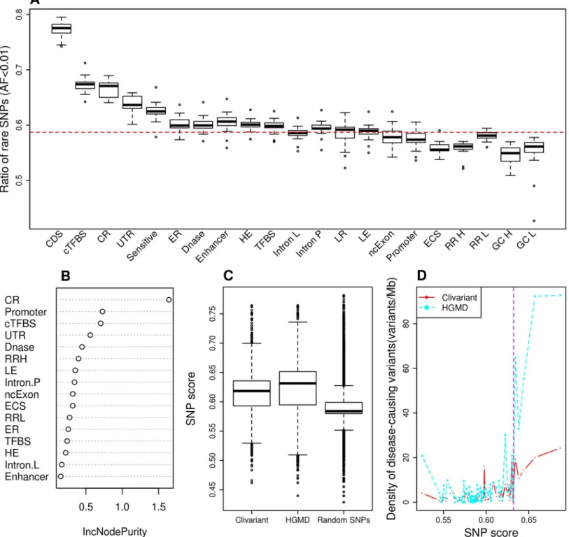 Fig 1. Construction of the rare SNP model. A. Fraction of rare SNPs (allele frequency < 0.01) according to different genome features (see S1 Table and Methods for feature details)