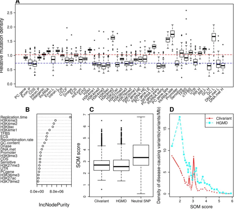 Fig 2. Construction of the Somatic Mutation (SOM) model for liver cancer. A. Relative density of somatic mutations from whole genome sequences of 88 liver tumors [11], associated to different genome features (see Methods for feature details)