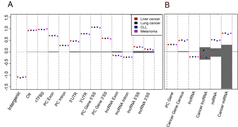 Fig 4. Enrichment for hypomutated positions within different genome features (A) and gene classes (B)