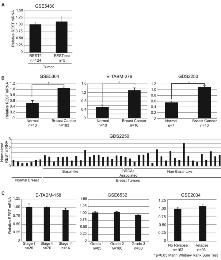 Figure 4. REST mRNA levels in breast tissue. (A) Mean REST mRNA levels were assessed in REST–less and RESTfl breast tumors from microarray dataset GSE5460