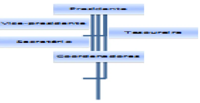 Figura 5: estrutura hierárquico-organizacional da AFARGS.