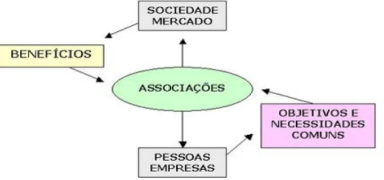 Figura 1: rede de relacionamento de uma associação.