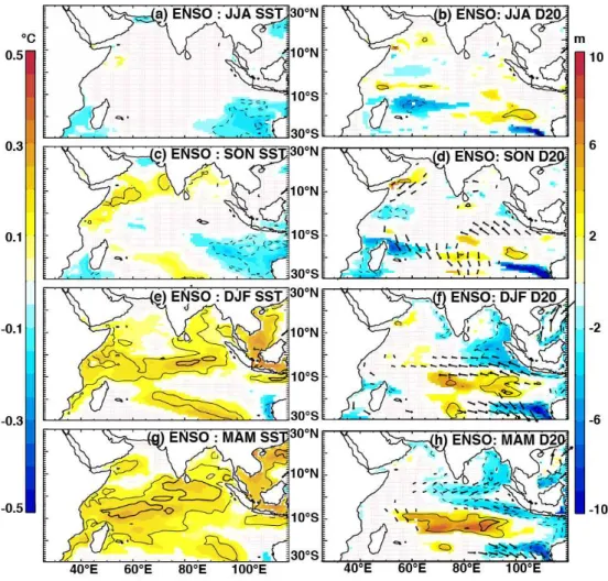 Fig. 5. The impacts of ENSO on SST (left panels), D20 (colour; right panels) and wind stress (arrows; right panels), as indicated by partial regression coefficients of their anomalies regressed onto the ENSO index, having removed the influence of IOD (Eqs