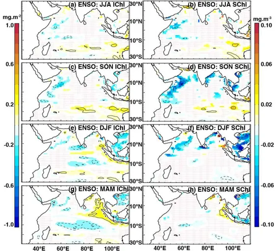 Fig. 8. The impacts of ENSO on I Chl (left panels) and SChl (right panels), as indicated by partial regression coefficients of their anomalies regressed onto the ENSO index, having removed the influence of IOD (Eqs