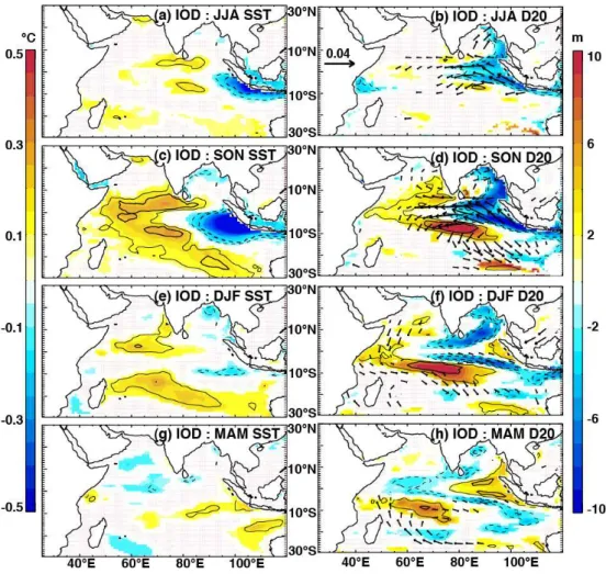 Fig. 4. The impacts of IOD on SST (left panels), D20 (colour; right panels) and wind stress (arrows; right panels), as indicated by partial regression coefficients of their anomalies regressed onto the IOD index, having removed the influence of ENSO (Eqs