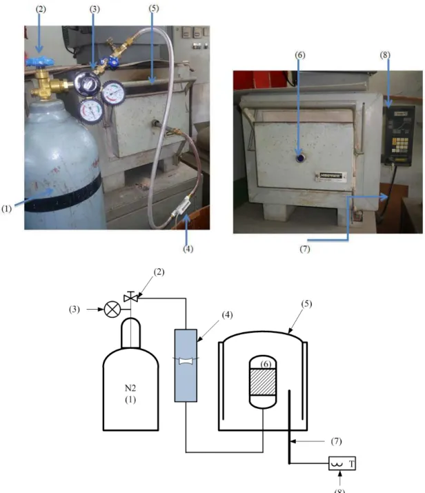 Fig. 1.  Experimental set up for activated carbon production; (1) nitrogen gas cylinder, (2) regulating valve, (3) pressure gauge, (4)  rotameter, (5) furnace, (6) reactor, (7) thermocouple and (8) temperature control 