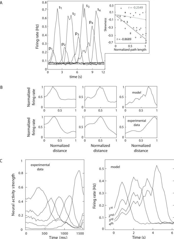 Figure 8. Coding of prospective place sequences. Simulation results and relation to experimental PFC recordings