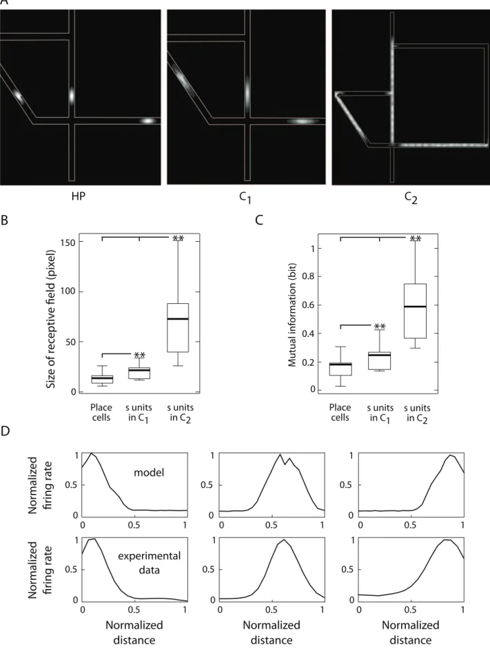 Figure 4. Single cell response analysis. Simulation results and relation to electrophysiological PFC recordings