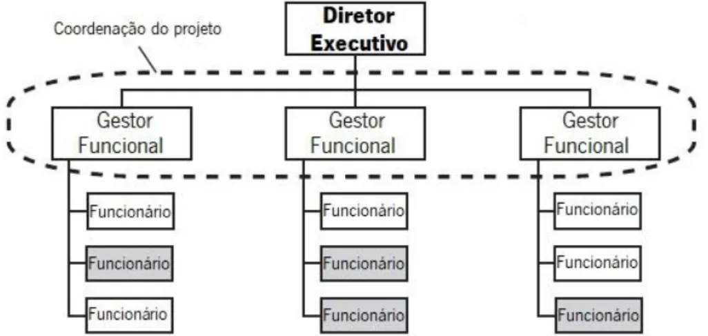 Figura 3- Organização funcional (retirado de  (Project Management Institute, 2013a) ) 