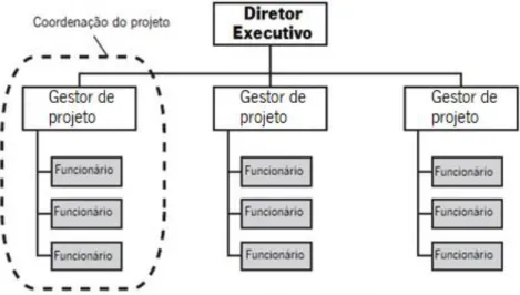 Figura 4- Organização orientada a projetos (adaptado de  (Project Management Institute, 2013a) ) 