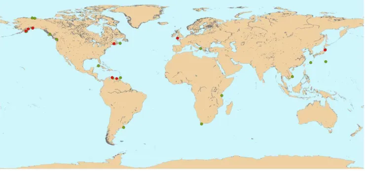 Figure 1. Global distribution of sampling sites with decapod crustacean assemblages within the NaGISA Census of Marine Life program
