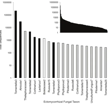 Figure 1 Rank-abundance plot of all 190 (inset) and top 20 ectomycorrhizal (ECM) fungal taxa sampled in this study