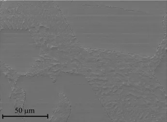 Fig. 1 – SEM image of the sample surface for CdSb + 3 % MnSb 