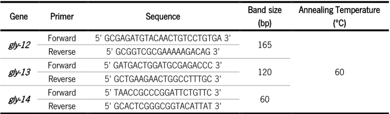 Table 5 - Primers for GNT-I genes ( gly-12  to  14 ) RT-PCR, the band size expected and the annealing temperature