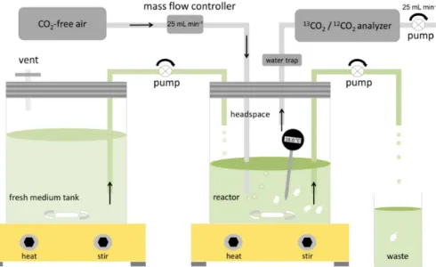 Figure 1. Chemostat system comprised of P. fluorescens growing on cellobiose. Seven inde- inde-pendent experiments were conducted, with reactor temperatures of 13, 14.5, 16, 18, 21, 23.5 and 26.5 ◦ C; all other conditions were identical