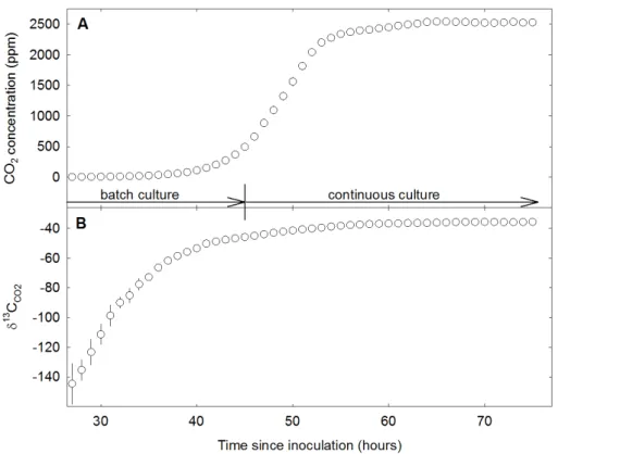 Figure 2. Example time course of the evolution of reactor headspace CO 2 concentration (a) and δ 13 C of the CO 2 (b) of the chemostat run at 23.5 ◦ C in hours since inoculation of the reactor with pre-cultured P