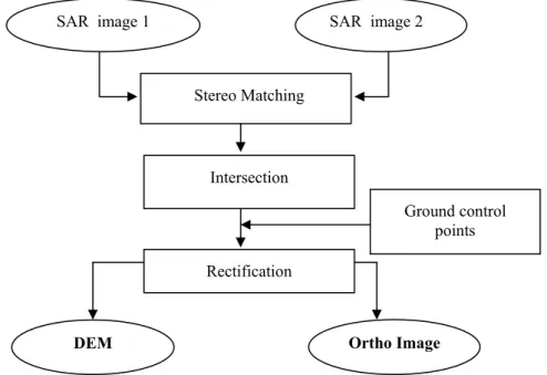 Figure 3 Stereo SAR Processing stages. 