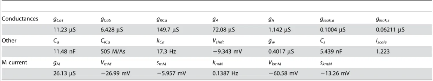 Table 3. Parameter values that were adjusted during the parameter estimation procedure and their final values.