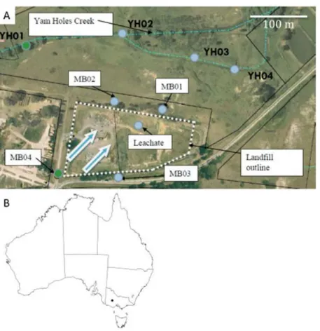 Fig. 1.  Beaufort Transfer Station landfill site. (A) Boreholes MB01-MB04 and a leachate borehole are shown in white boxes (MB03  was damaged and decommissioned in2003)