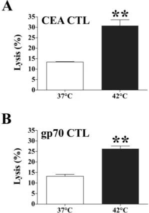 Table 1. Effect of hyperthermia on phenotype of murine colon carcinoma cells.
