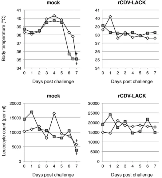 Fig 2. Changes in body temperatures and leukocyte counts after virulent CDV challenge