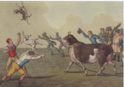 Figura 9 – Representação de um combate entre um touro e vários cães. 