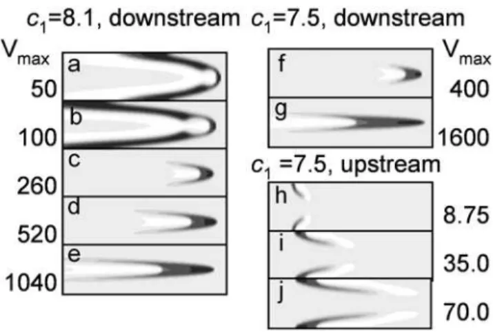 Figure 5 shows the {a , c 1 } plane sectioning of the parameter space of solutions to model (2) (see eq