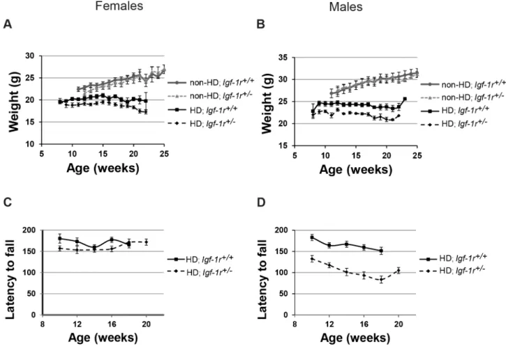 Figure 3. Serum levels of Igf-1 and glucose differ between male and female HD mice. A, B