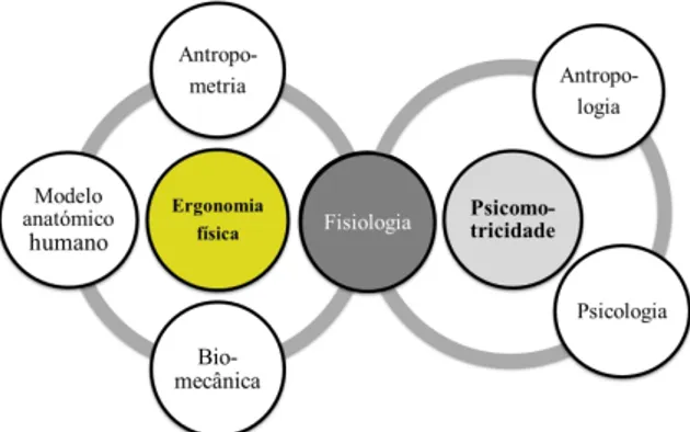 Figura 1. Campos de estudo no âmbito da ergonomia física e da psicomotricidade