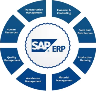 Figura 4-Áreas do SAP