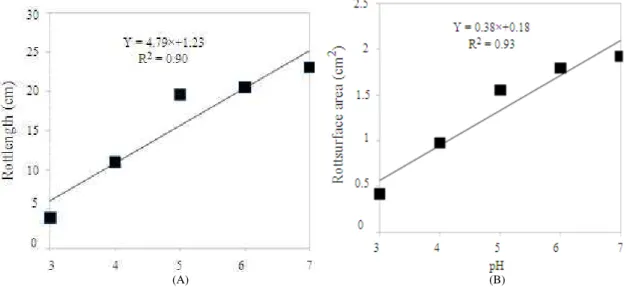 Fig. 2:  Relationship between root length and pH (A) and root surface area and pH (B) 