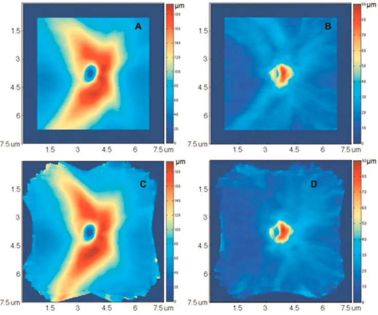 Figure 2. Normative database normalization with 46 healthy eyes. (A, B) mean and standard deviation (SD) of retinal nerve fiber layer (RNFL) thickness measurement at each sampling point (A-scan), without normalization