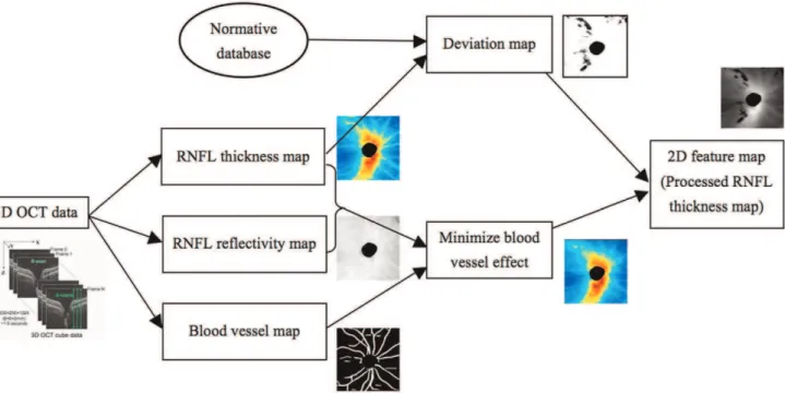 Figure 4. Super pixel segmentation on 3D OCT images. (A) Analysis output in a healthy eye, (B) glaucoma suspect, and (C) glaucomatous eye.