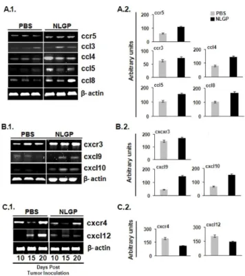Figure 4. NLGP normalizes chemokine network within TME.