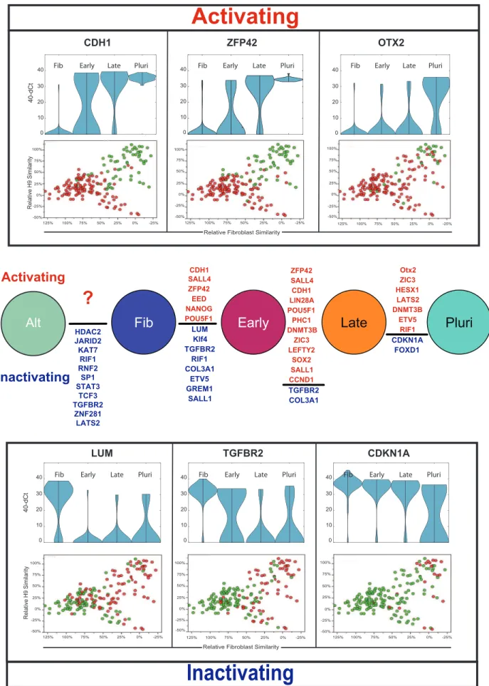 Figure 3. (Middle panel) Tukey-Kramer test results showing significant increases or decreases in gene expression between the groups identified in the PC-SOM analysis (p.0.05)