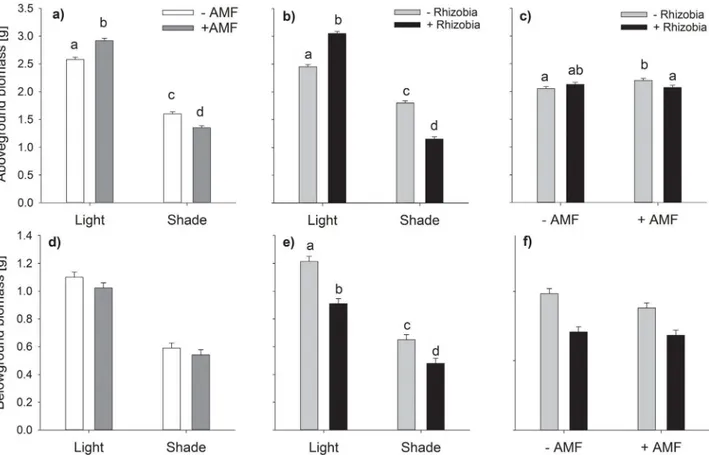 Fig 2. Interacting effects of varying light conditions, AMF and rhizobia on aboveground (a, b, c) and belowground biomass (d, e, f).